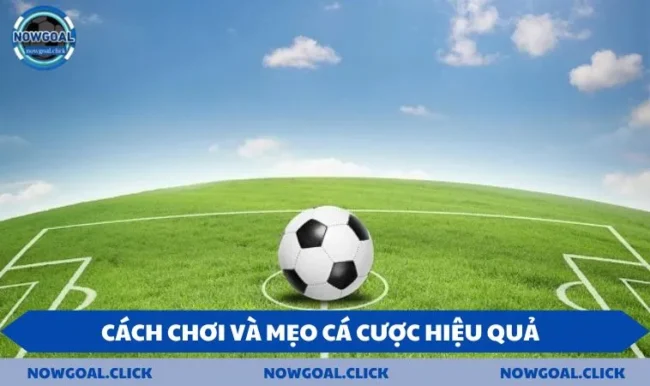 Kèo chấp 1/2